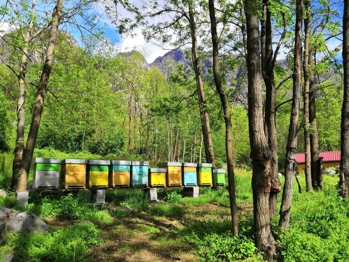 Agriturismo Val Codera Verceia Eksteriør bilde