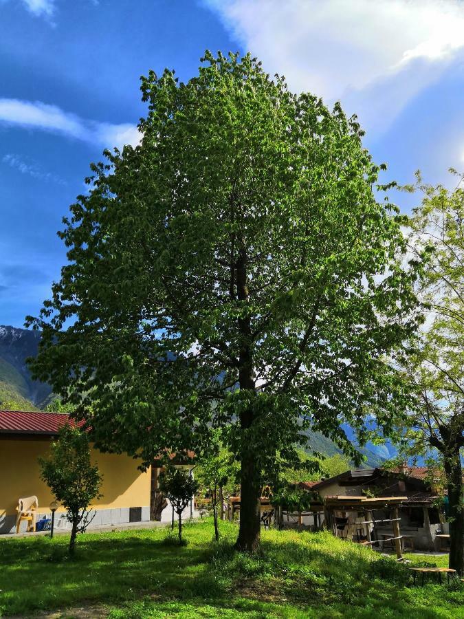 Agriturismo Val Codera Verceia Eksteriør bilde